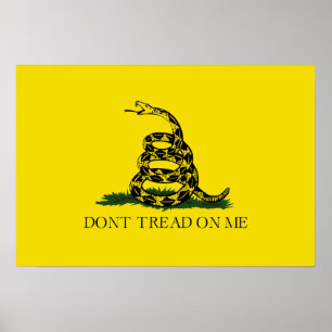 Pôster Não pisque em mim, Gadsden American Flag