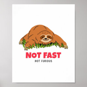 Poster Não Rápido Não Furioso