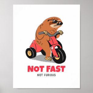 Poster Não Rápido Não Furioso