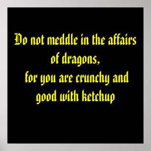 Poster Não se intrometa nos assuntos dos dragões, para vo