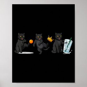 Poster Não, sem reis, sem gelo, gato engraçado meme polít