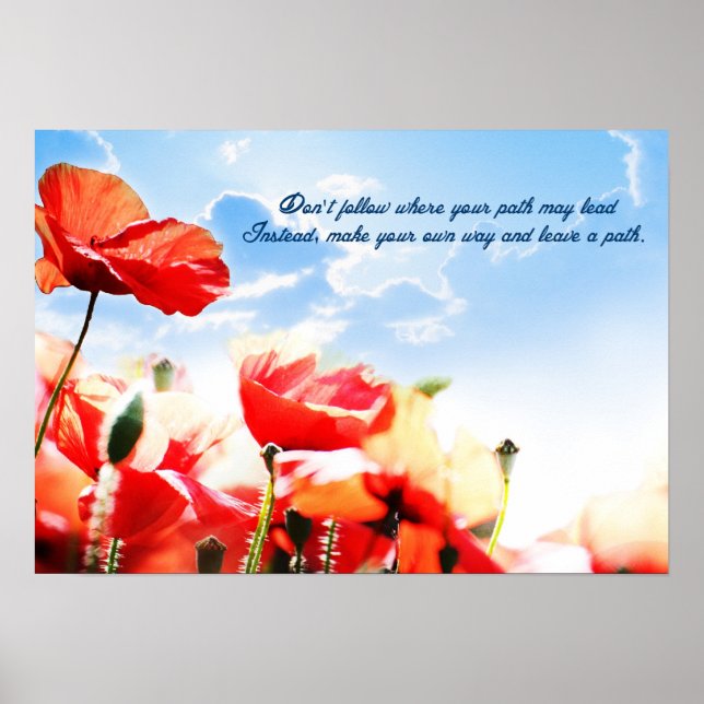 Pôster Não siga onde seu caminho pode levar... (Frente)