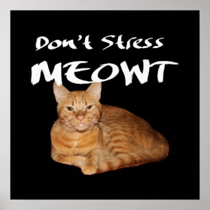 Poster Não Stress Meowt - O Gato Laranja me estressa