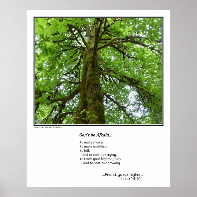 Pôster Não tenha medo...poster de inspiração (Frente)