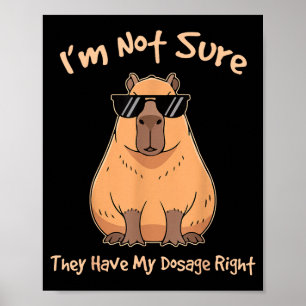 Poster Não Tenho Certeza da Dosagem Certa Capivara