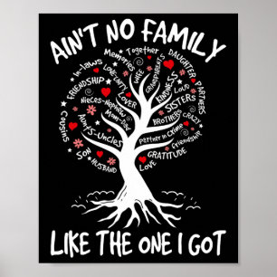 Poster Não tenho família como a que tenho.