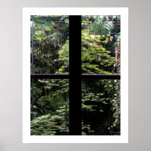 PÔSTER NÃO TITULADO