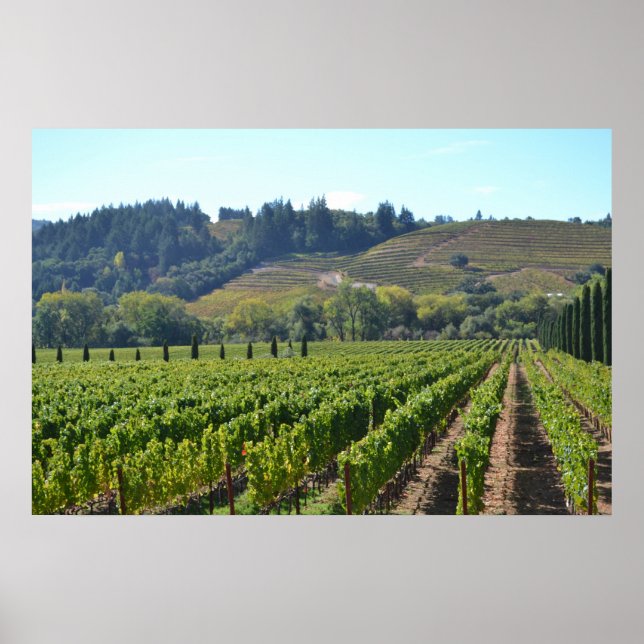 Poster Napa Sonoma Valley Wine Country (Frente)