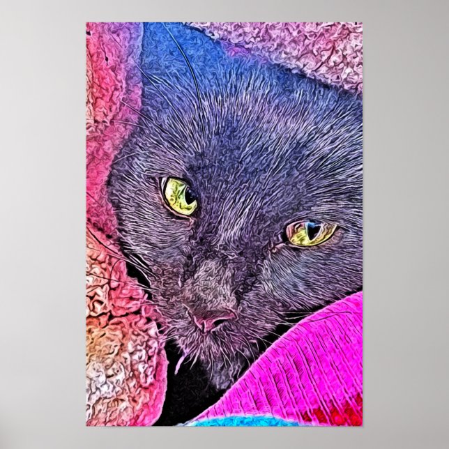 Poster Napoleão num cobertor (Frente)