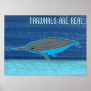 Pôster Narbalas são reais