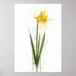 Poster Narciso