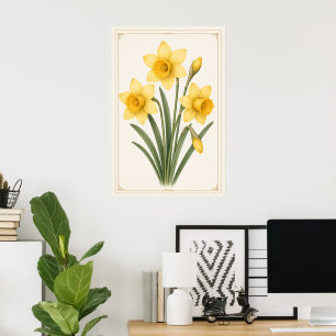 Poster Narciso Botânico, Flor do Mês de Nascimento de Mar