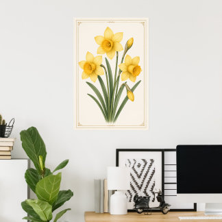 Poster Narciso Botânico, Flor do Mês de Nascimento de Mar