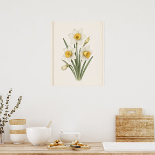 Poster Narcissus, Flor do Nascimento de Dezembro Arte Bot