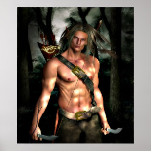 Poster Narield