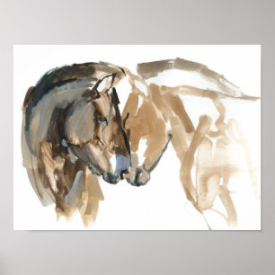 Pôster Nariz a Nariz