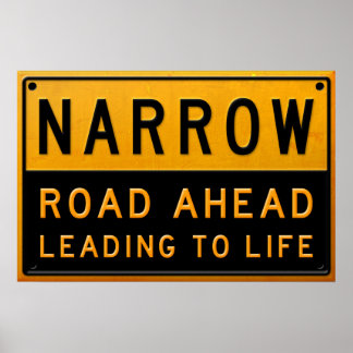 Poster Narrow Road To Life