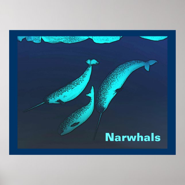 Pôster Narwhal (Frente)