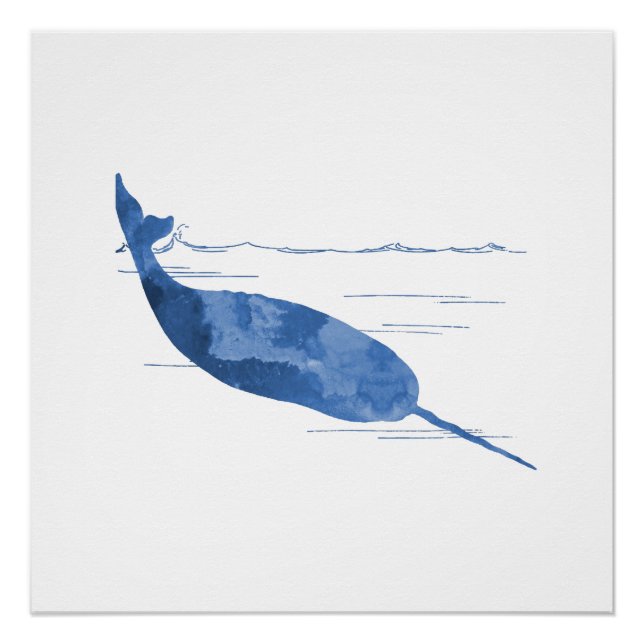 Pôster Narwhal (Frente)