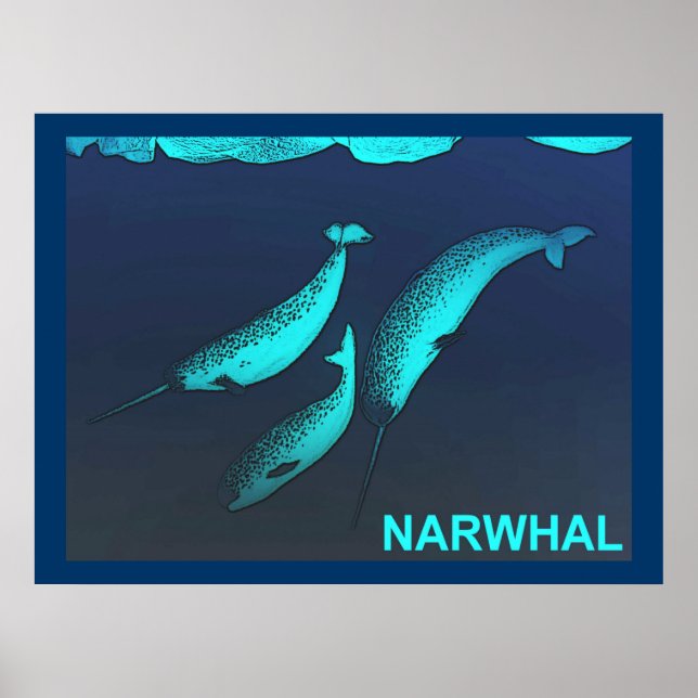 Pôster Narwhal (Frente)