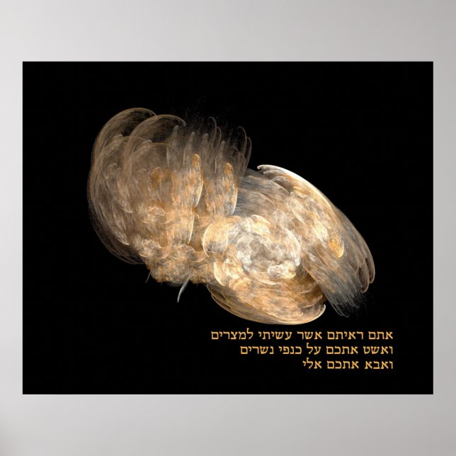 Poster Nas Asas da Águia (Frente)