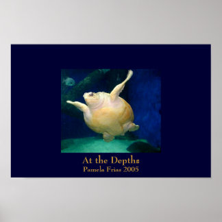 Pôster Nas Profundidades