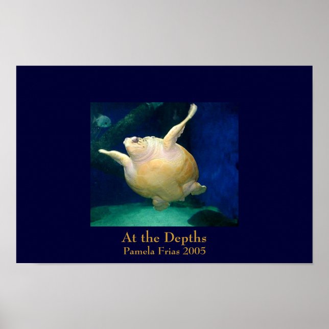 Pôster Nas Profundidades (Frente)