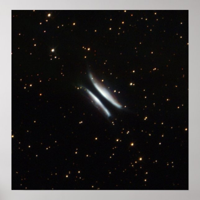 Pôster NASA - Hamburger de Gomez (Frente)