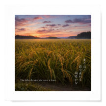 Nascente no Arrozal Japonês – Nature Wisdom Print