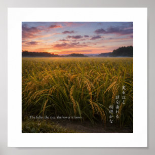 Poster Nascente no Arrozal Japonês – Nature Wisdom Print