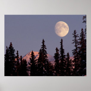 Poster Nascer da Lua no Início do Inverno Anchorage, Al