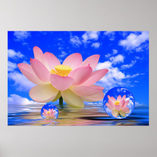 Poster Nascer de Flor de Lotus na Água