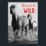 Poster Nascer de ser Cavalos Selvagem, Pretos e Brancos C<br><div class="desc">Arte na Cabeça de Cavalo - Rosto de Cavalo - Fotografia de Arte Animal Moderna</div>