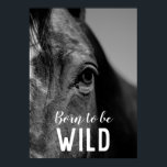 Poster Nascer de ser o olho preto e branco do cavalo fech<br><div class="desc">Arte na Cabeça de Cavalo - Rosto de Cavalo - Fotografia de Arte Animal Moderna</div>
