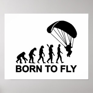 Pôster Nascer de Skydiving da evolução a voar