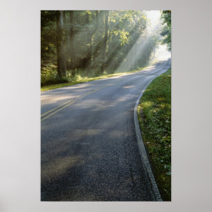 Pôster Nascer do sol através do nevoeiro ao lado do Rio 