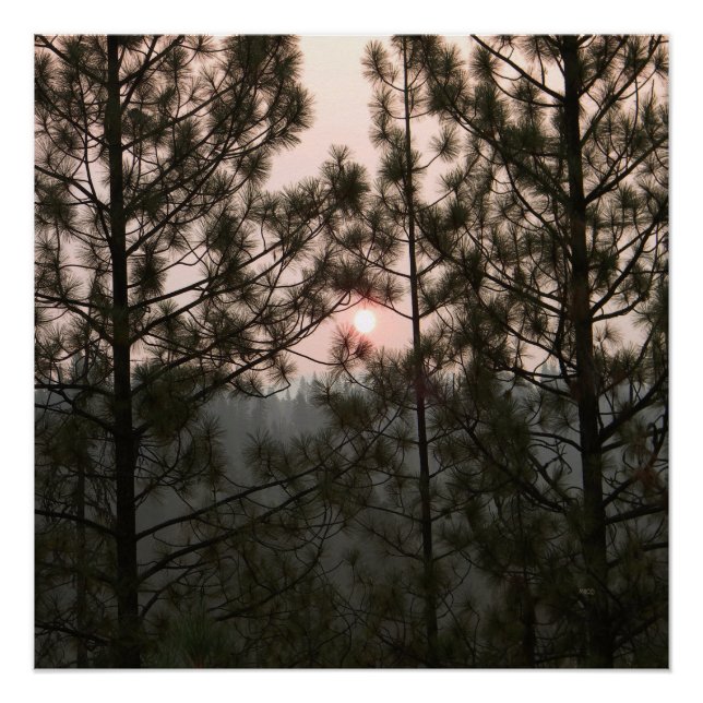 Pôster Nascer do sol esfumaçado do incêndio de Carr 2018. (Frente)