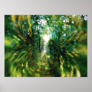 Poster Nascer do sol na floresta 2