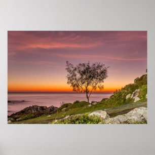 Pôster Nascer do sol na praia Armação