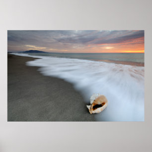 Poster Nascer do sol na praia e em Shell