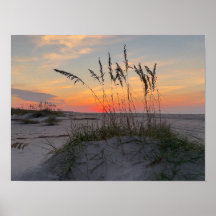 Nascer do sol na praia - Vida na Ilha Costeira
