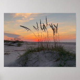 Poster Nascer do sol na praia - Vida na Ilha Costeira