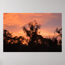 Poster Nascer do Sol no Campo