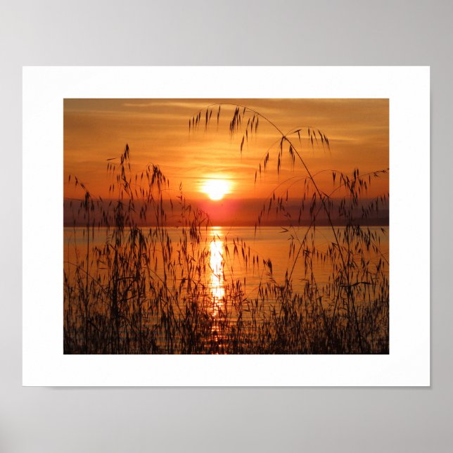 Poster Nascer do sol sobre a Baía (Frente)