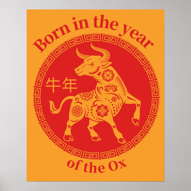 Poster Nascer no ano do Ox - Chinês Zodiac (Frente)
