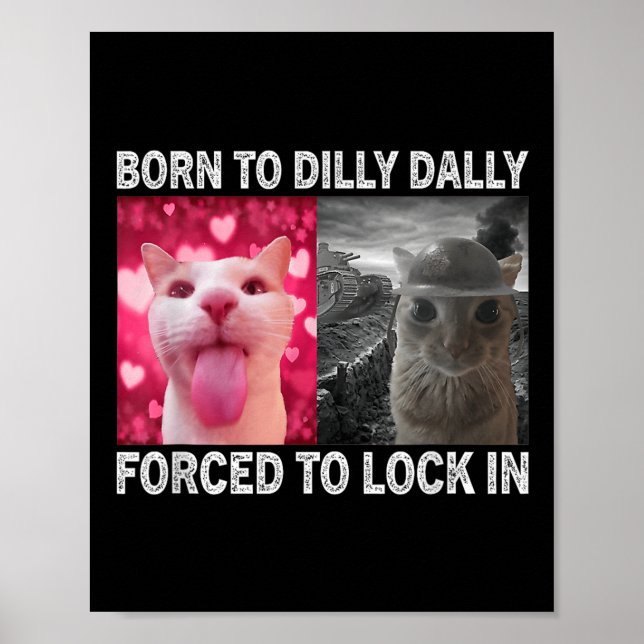 Poster Nascer Para Dillys Dallys Forçados A Bloquear Meme (Frente)