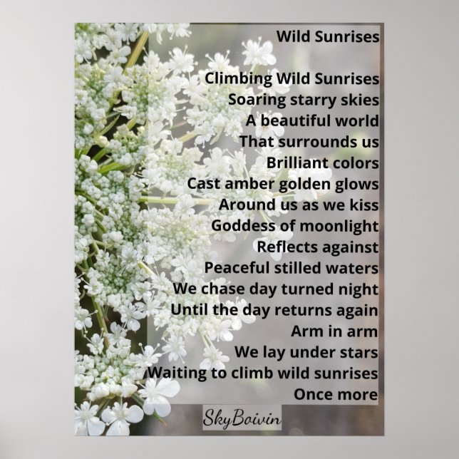 Poster Nasceres do sol selvagens (Frente)