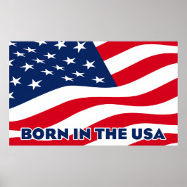 Poster Nascido nos EUA