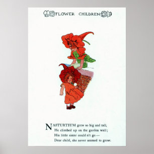 Pôster Nasturtium