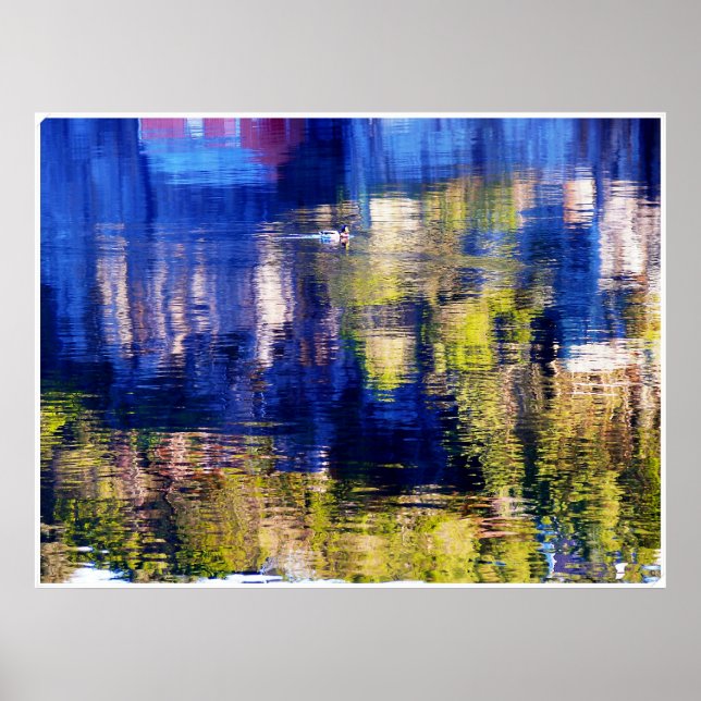 Pôster natação de cores (Frente)